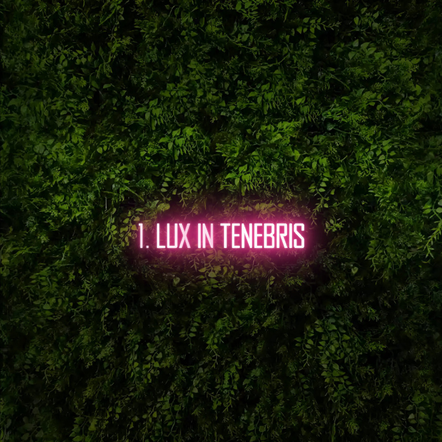 1.	Lux in Tenebris  – Neon Sign