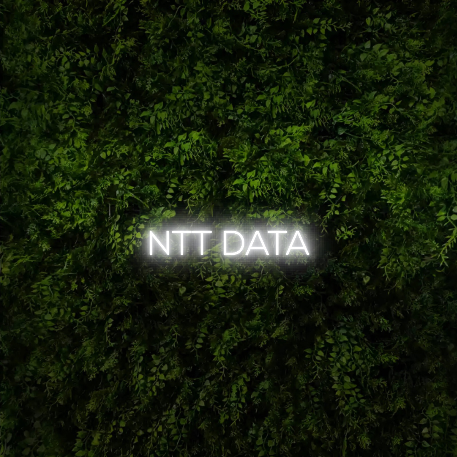 NTT DATA – Neon Sign