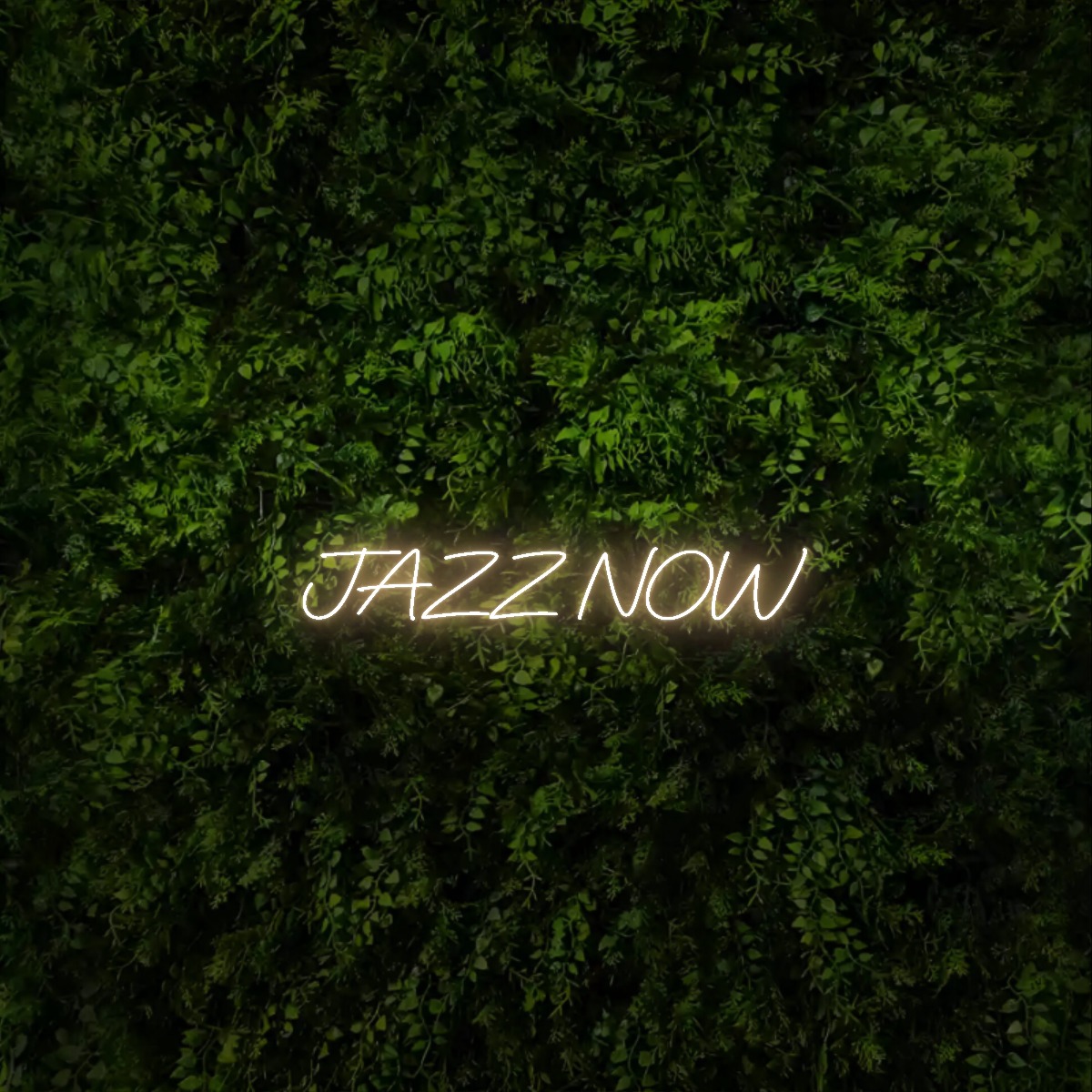 JAZZ NOW – Neon Sign
