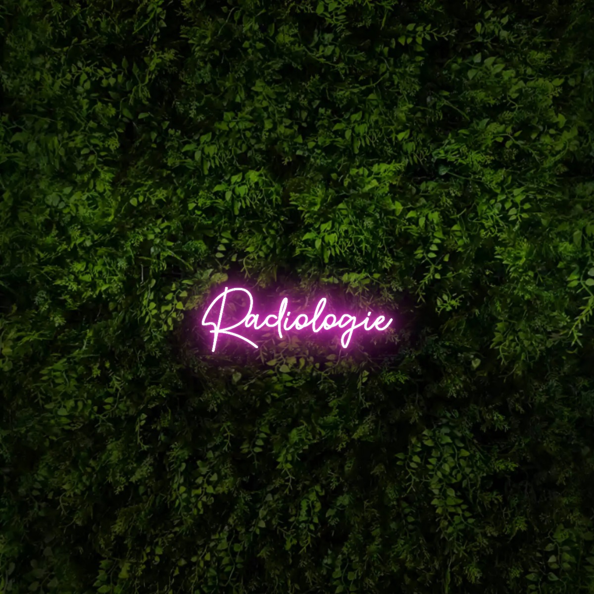 Radiologie – Neon Sign