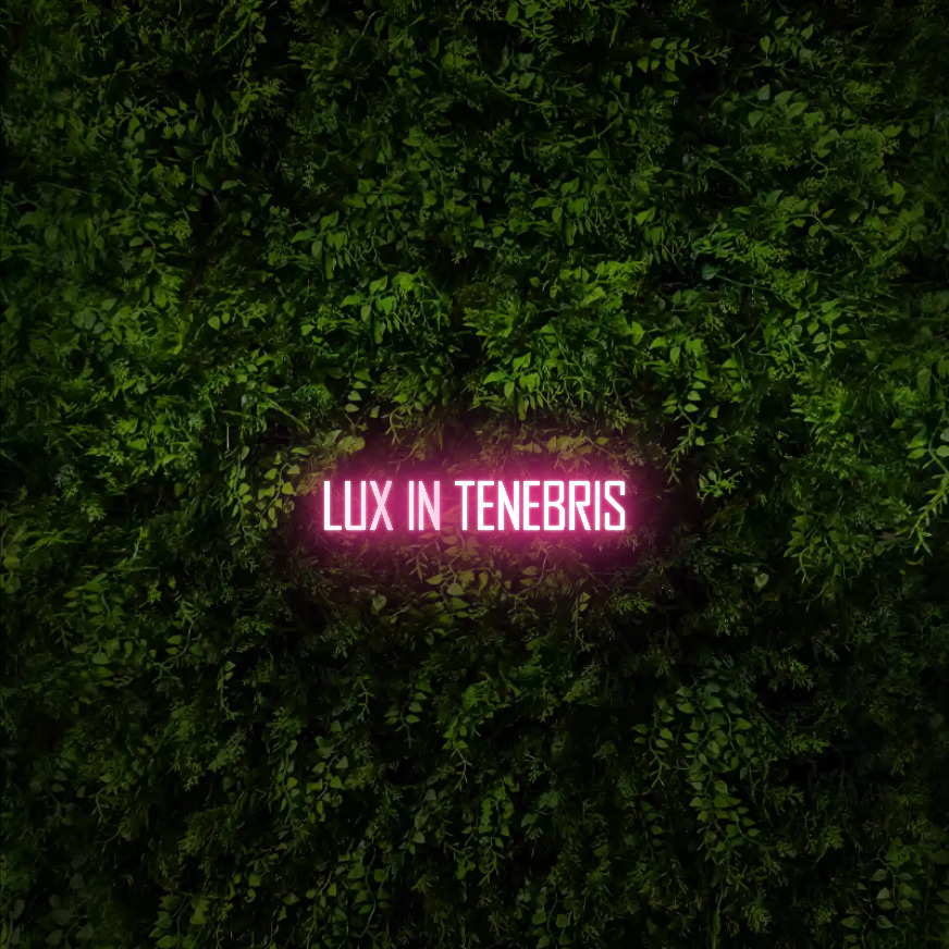 Lux in Tenebris  – Neon Sign