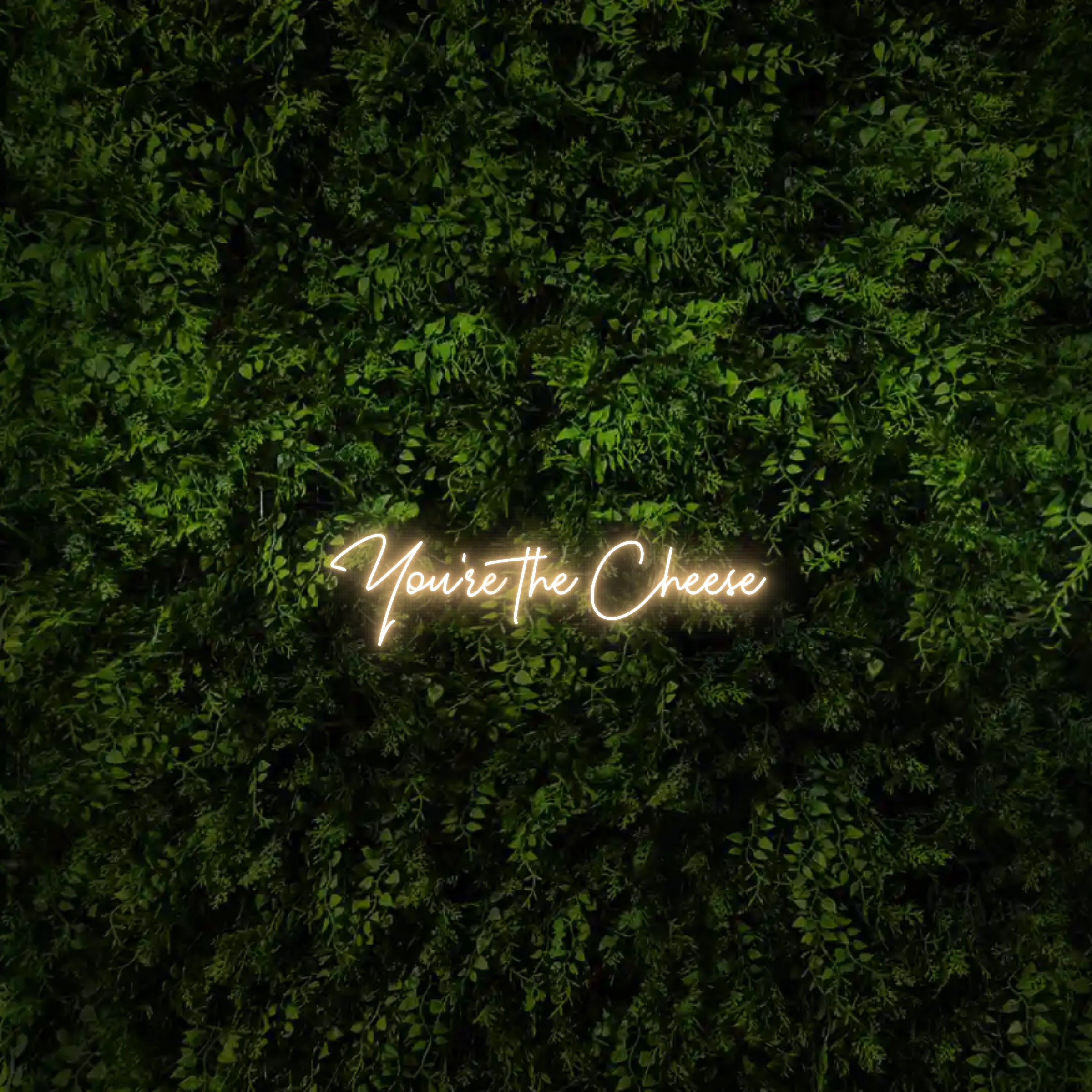 You‘re the Cheese – Neon Sign