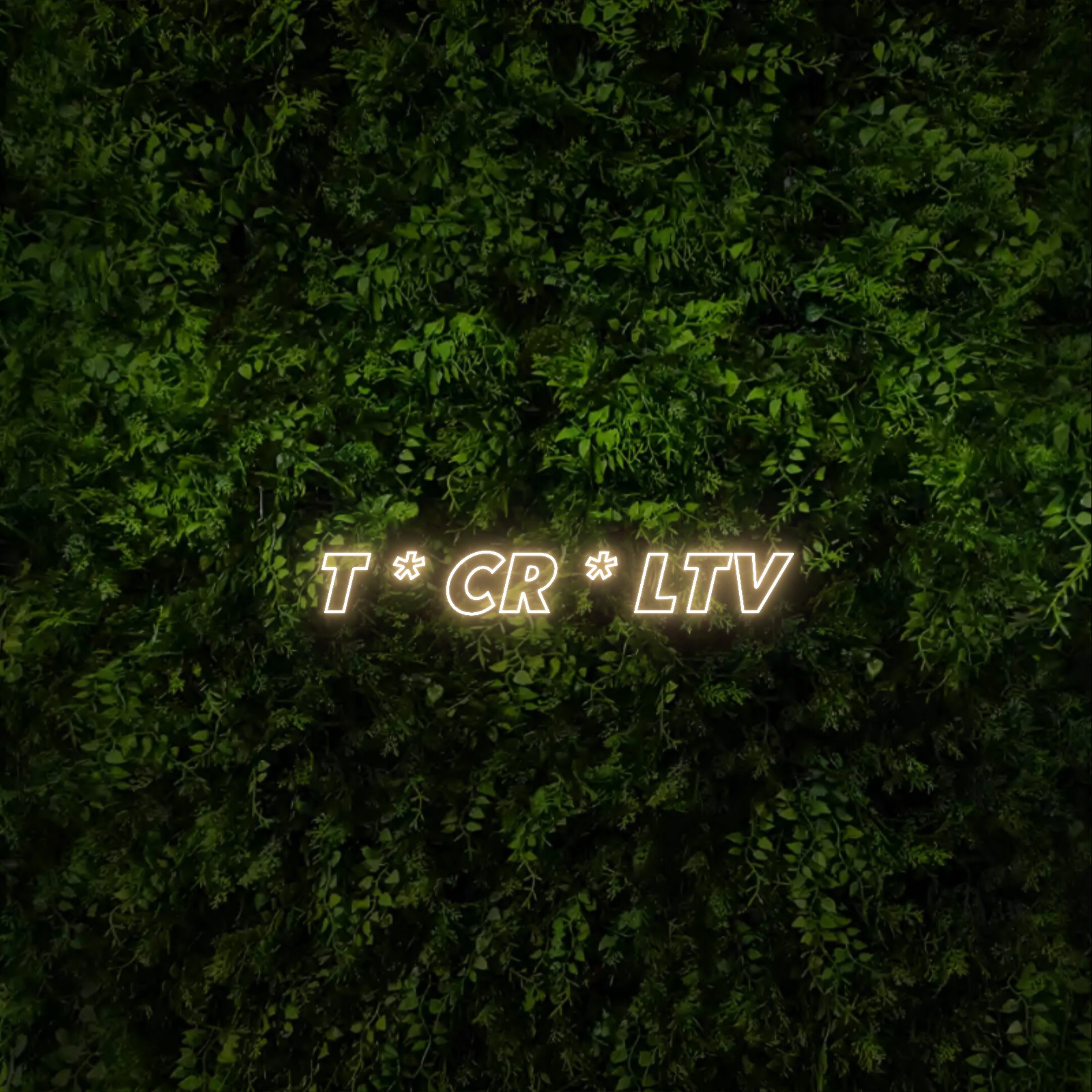 T * CR * LTV – Neon Sign