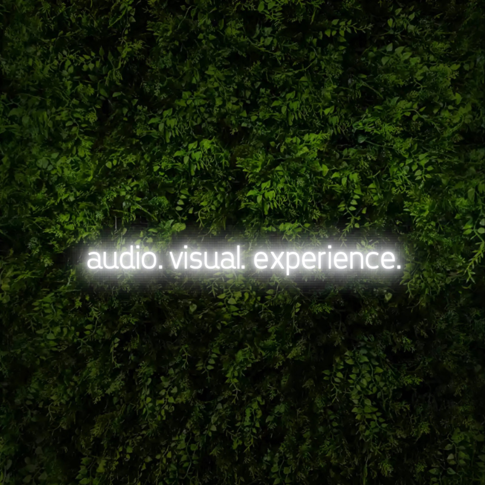 audio. visual. experience. – Neon Sign