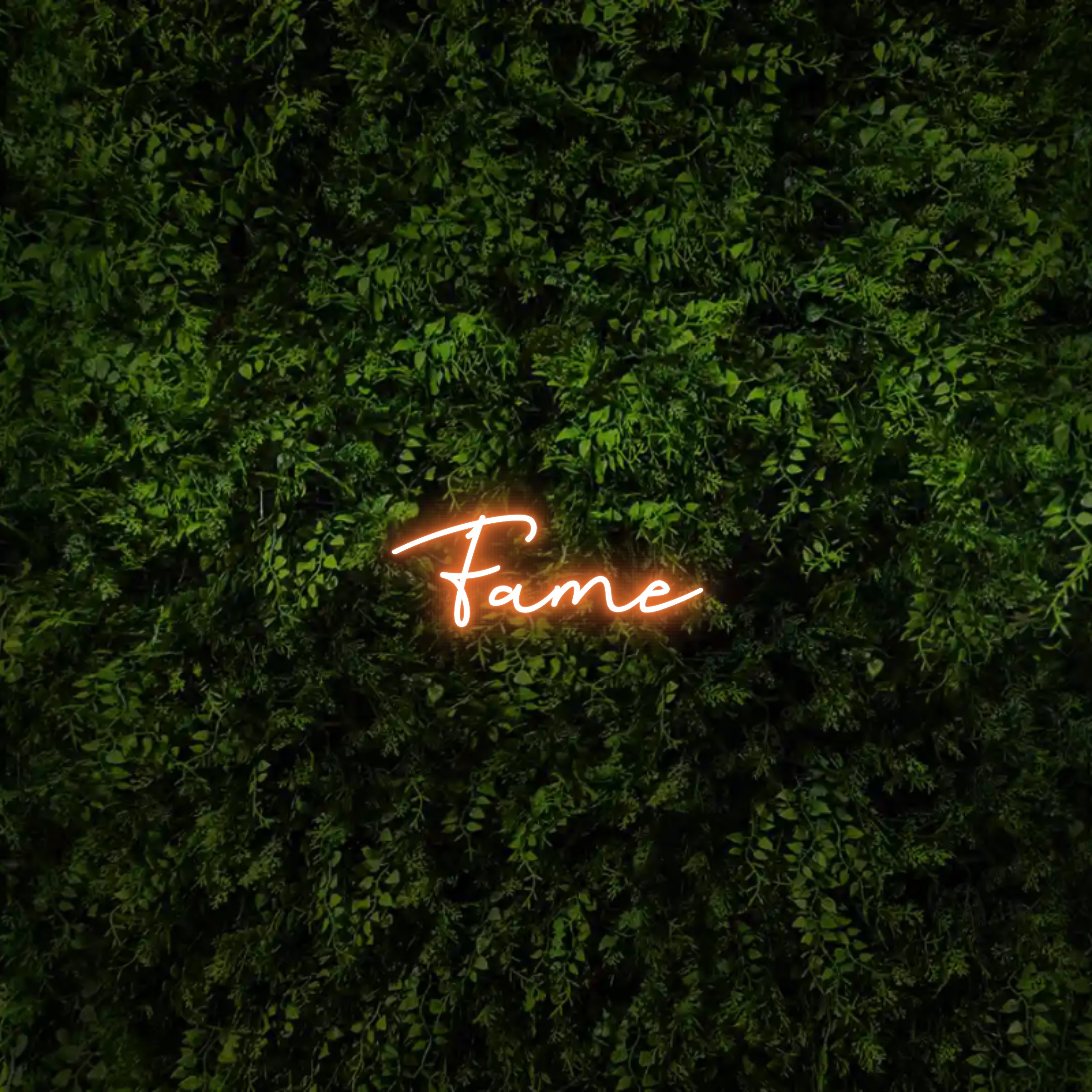 Fame  – Neon Sign