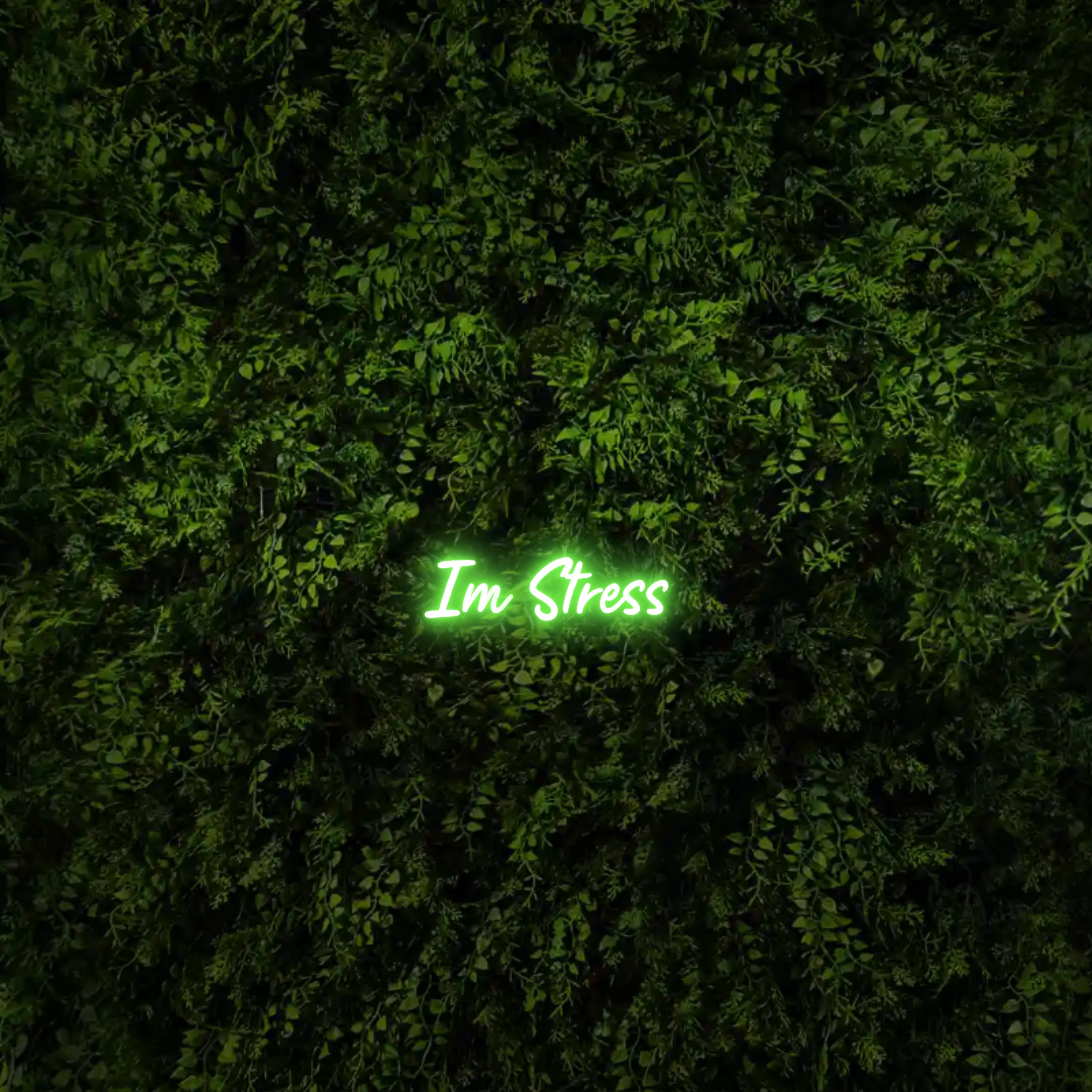 Im Stress – Neon Sign