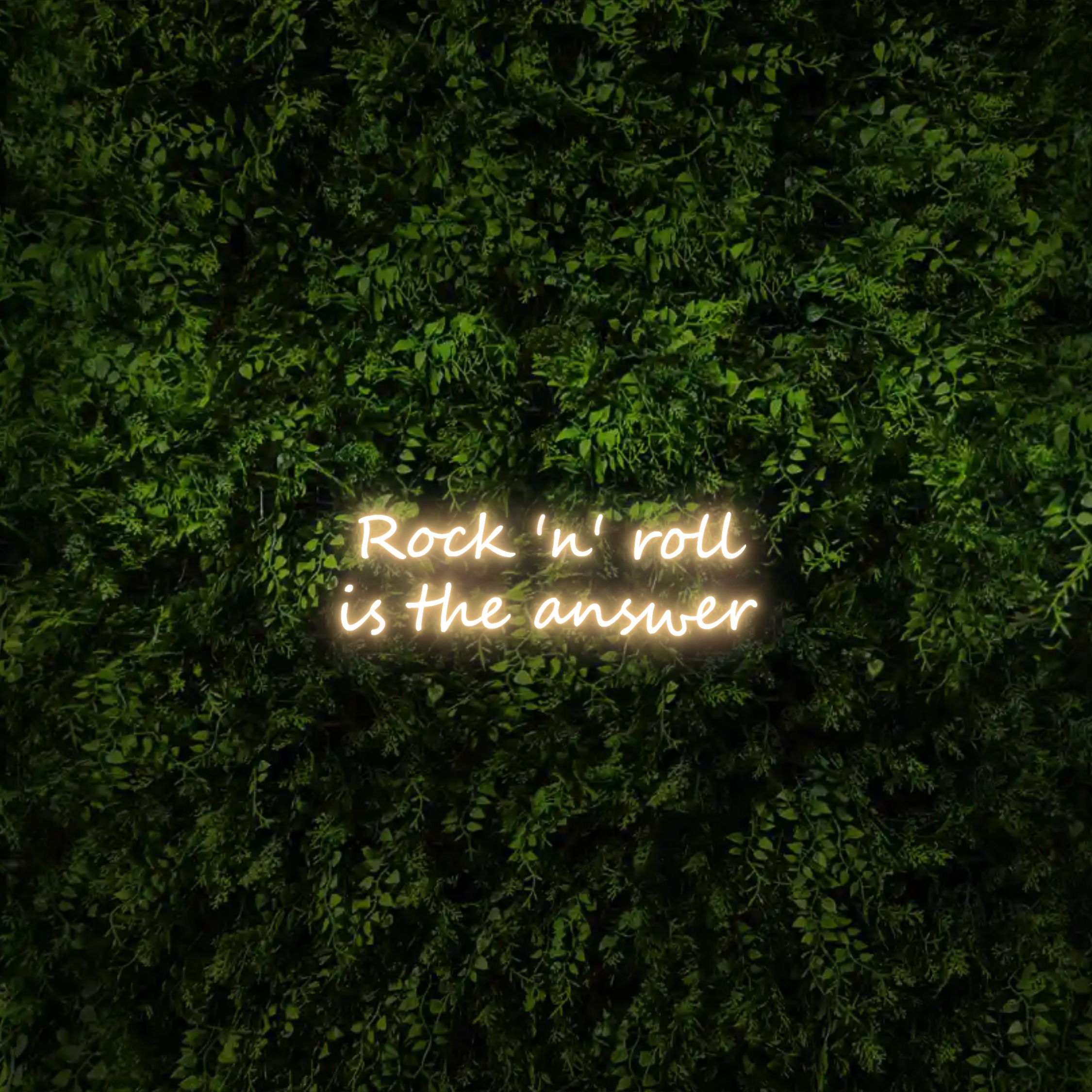 Rock ‘n’ roll
is the answer – Neon Sign