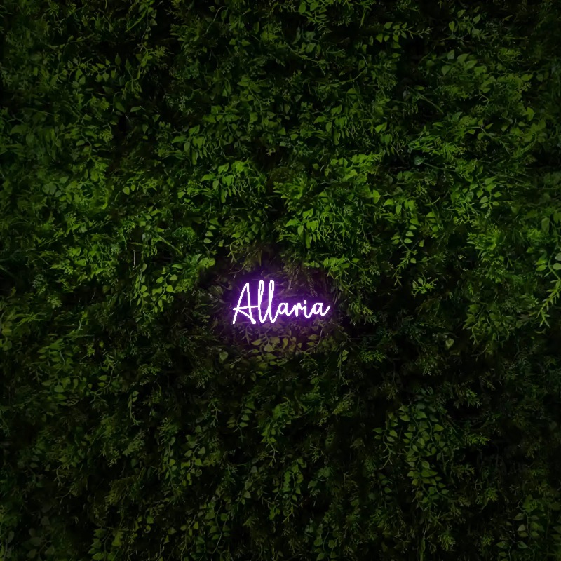 Allaria – Neon Sign