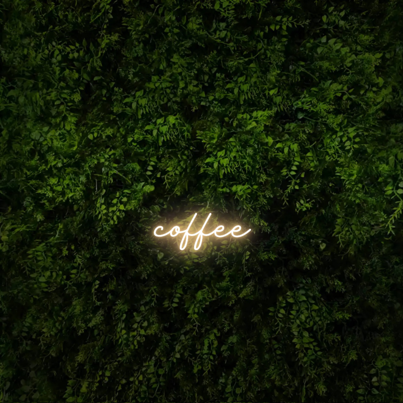 coffee – Neon Sign