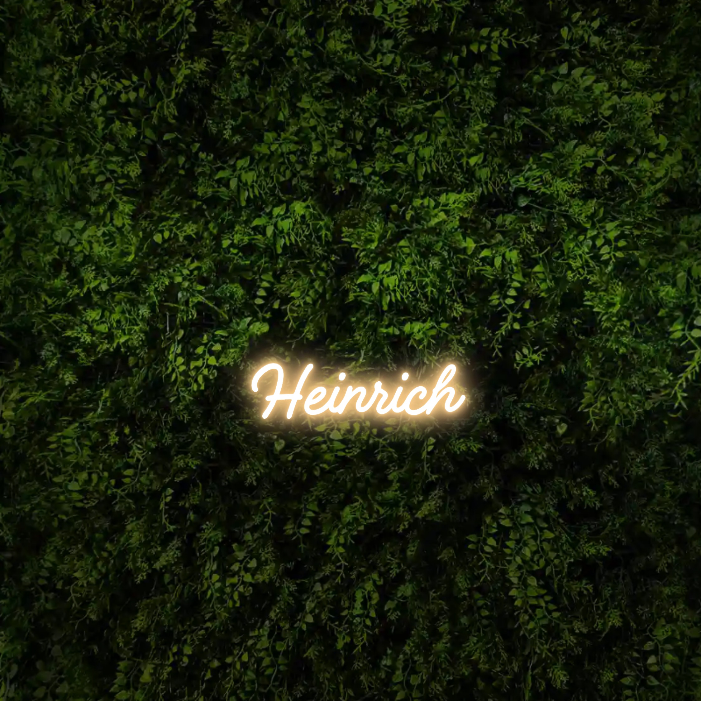 Heinrich – Neon Sign